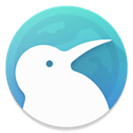 Kiwi Browser v111.0.5563.75 中文纯净版