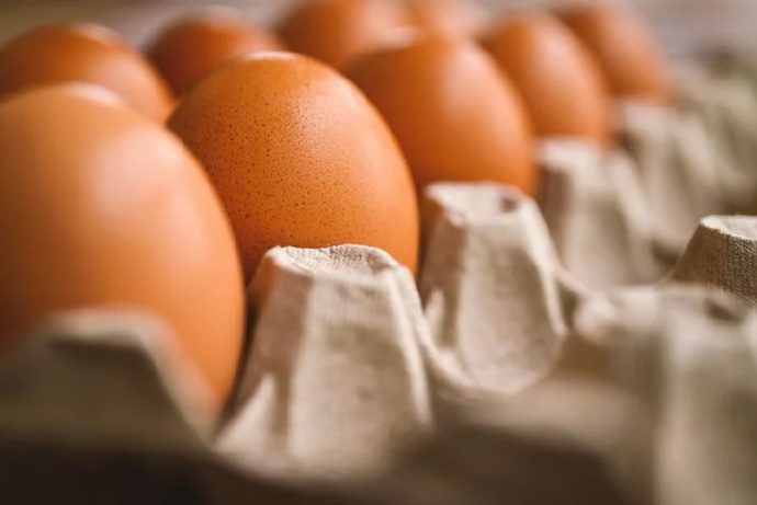 疯狂的鸡蛋：蛋价一路狂奔，蛋企却依然迷茫