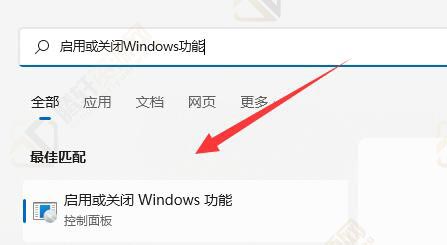Win11无法安装WSA怎么解决？Windows11无法安装WSA解决方法