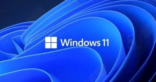 Win11怎么格式化C盘？Windows11格式化C盘图文教程