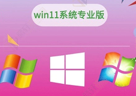 win11家庭版和专业版哪个好？Windows11家庭版和专业版该怎么选择？