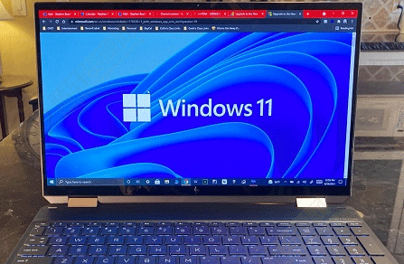 win11 Pro是什么版本？Windows11 Pro版本详细介绍
