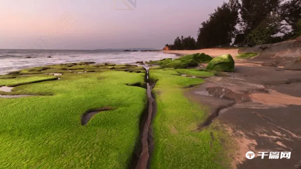 世界上有没有绿色的沙滩？地球上其实还有绿色的沙滩
