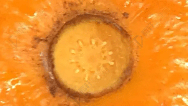 如何做到不剥橘子也就能知道橘子的瓣数？