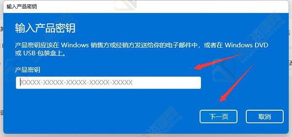 win11系统安装时无法选择专业版怎么解决？Windows11安装系统时没有专业版解决方法教程