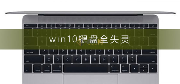 Windows10系统键盘全部失灵怎么办？win10键盘突然失灵解决方法图文教程