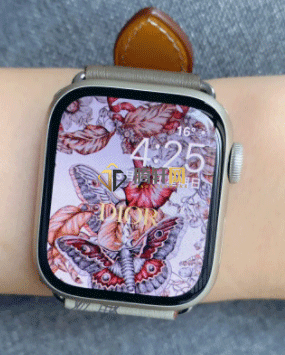 Apple Watch7与S6有什么区别？苹果 watch7和s6的区别详细介绍
