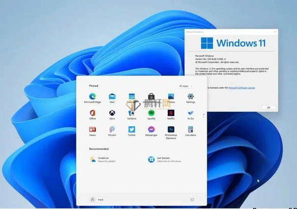 win11系统企业版和家庭版有什么区别？Windows11家庭版与企业版的区别详细介绍
