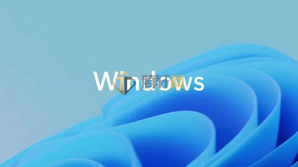 win11系统网络连接里面一片空白怎么回事？Windows11网络连接里显示空白解决方法图文教程