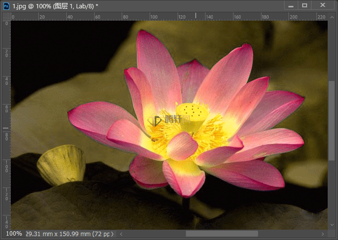 Adobe Photoshop2022转Lab模式下用通道快速抠荷花图第6步