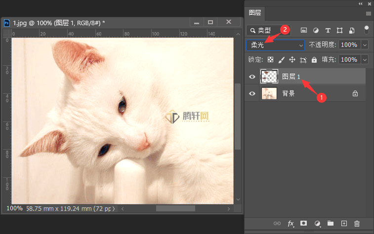 Adobe Photoshop2022怎么给偏色的小猫调色第13步