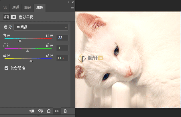 Adobe Photoshop2022怎么给偏色的小猫调色第15步