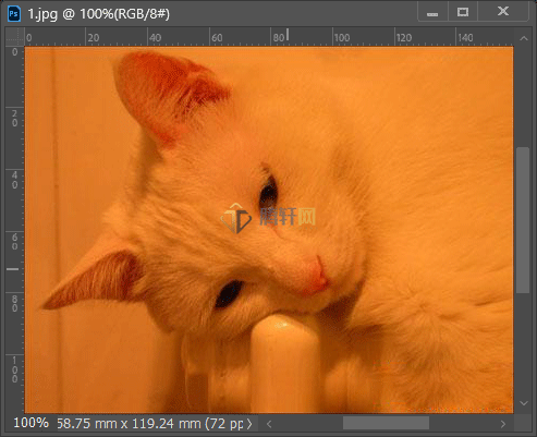 Adobe Photoshop2022怎么给偏色的小猫调色第3步