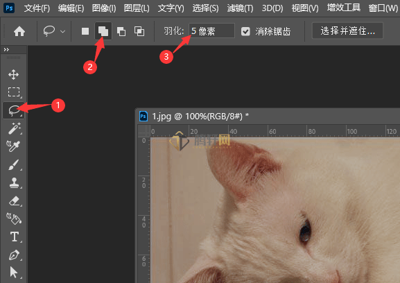 Adobe Photoshop2022怎么给偏色的小猫调色第7步