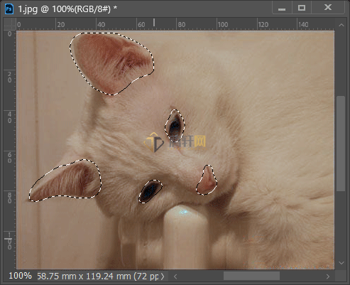 Adobe Photoshop2022怎么给偏色的小猫调色第8步
