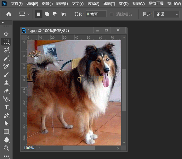 Adobe Photoshop2022如何给图片调亮度与对比度第1步