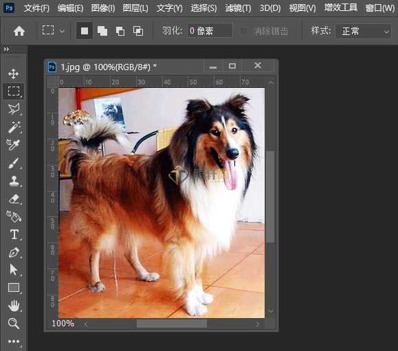 Adobe Photoshop2022如何给图片调亮度与对比度第4步
