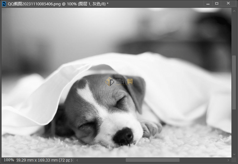 Adobe Photoshop2022如何把彩图转灰度模式第3步
