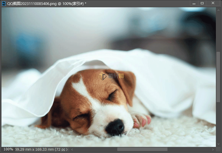 Adobe Photoshop2022如何把图片转换成索引颜色模式第4步